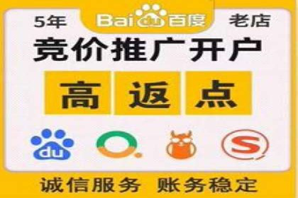 百度广告推广策略及成功案例解析